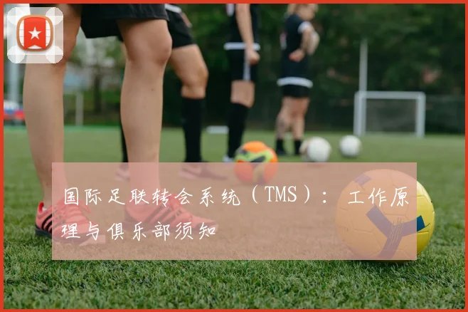 国际足联转会系统(TMS):工作原理与俱乐部须知